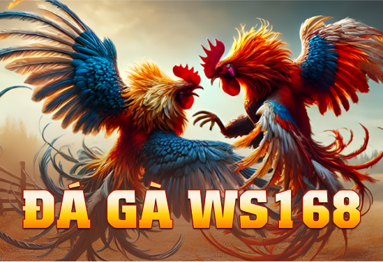 Đá Gà WS168